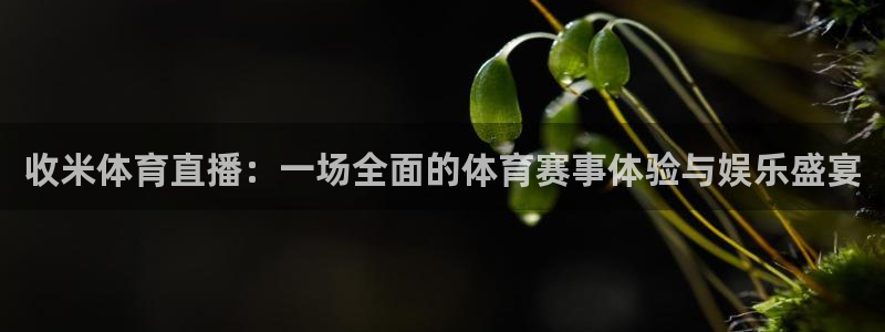 9255tv直播无插件nba：收米体育直播：一场全面的体育赛事体验与娱乐盛宴