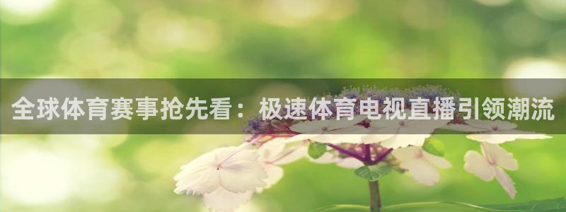 9255tv直播nba在线直播：全球体育赛事抢先看：极速体育电视直播引领潮流