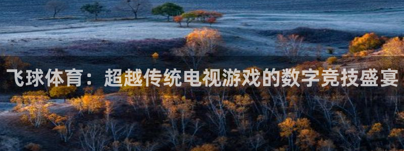 9255tv直播nba在线直播：飞球体育：超越传统电视游戏的数字竞技盛宴