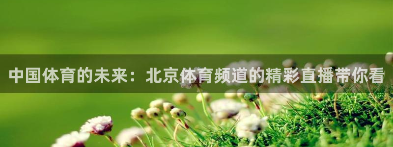 9255tv直播无插件nba：中国体育的未来：北京体育频道的精彩直播带你看