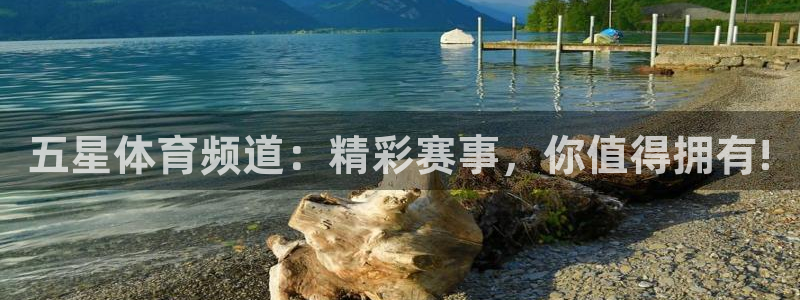 9255tv直播无插件nba：五星体育频道：精彩赛事，你值得拥有!