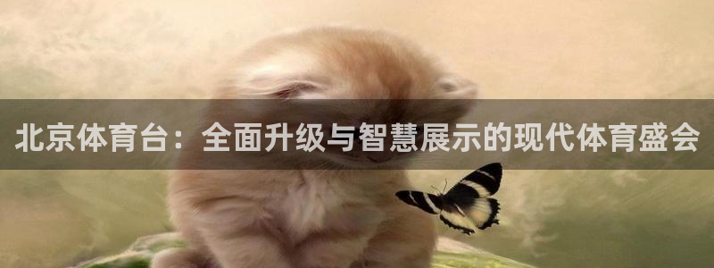 9255tv直播无插件nba：北京体育台：全面升级与智慧展示的现代体育盛会