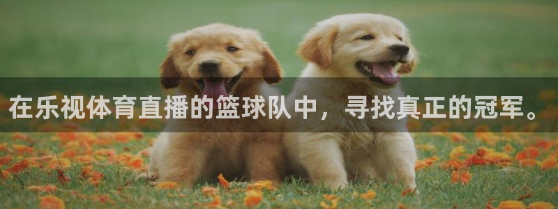 9255tv直播无插件nba：在乐视体育直播的篮球队中，寻找真正的冠军。
