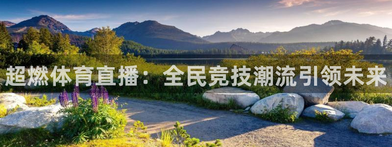 9255tv直播nba在线观看：超燃体育直播：全民竞技潮流引领未来