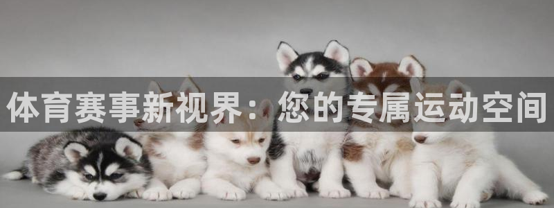 9255tv直播nba在线观看：体育赛事新视界：您的专属运动空间
