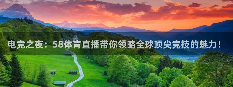 9255tv直播无插件nba：电竞之夜：58体育直播带你领略全球顶尖竞技的魅力！